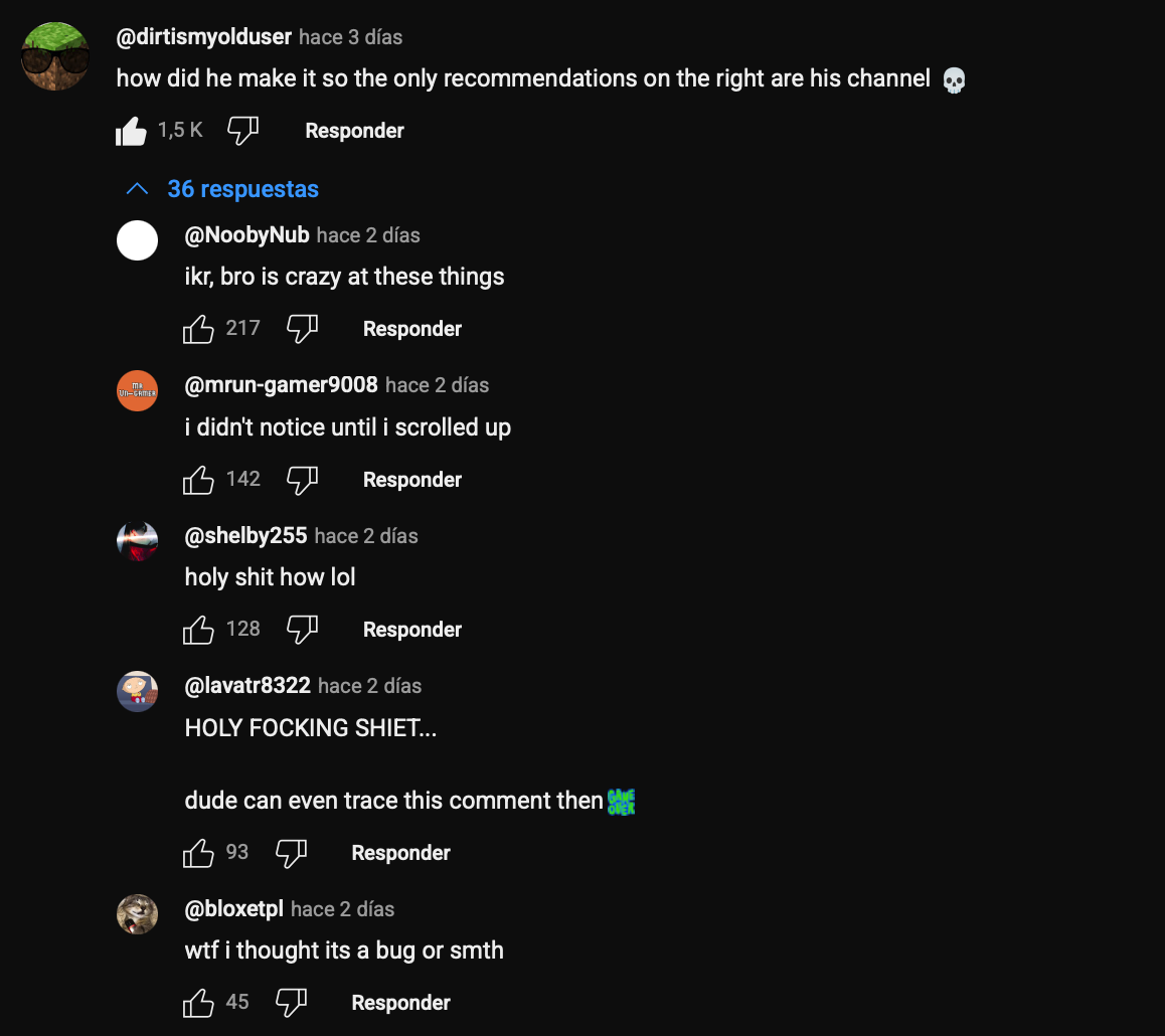 Screenshot of the comment section